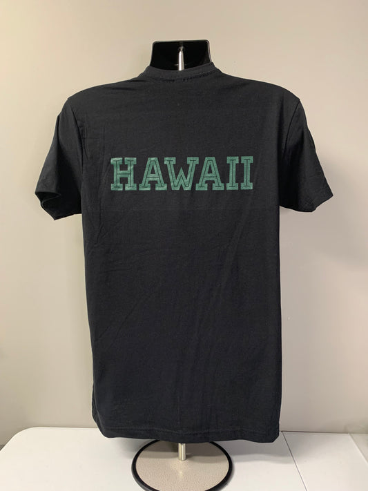 BLACK/GREEN BOX LOGO TEE w/ HAWAII on back (FUNDRAISER)